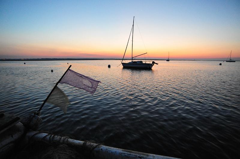 Fileyeur Arcachon a9.JPG